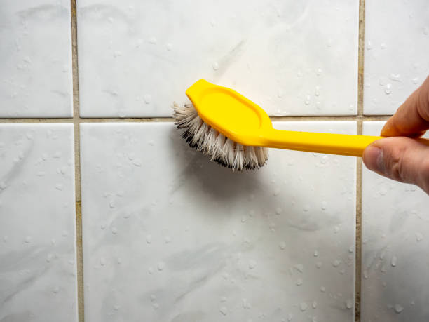 Best DIY Mold Remediation Support Services in Mountain House, CA