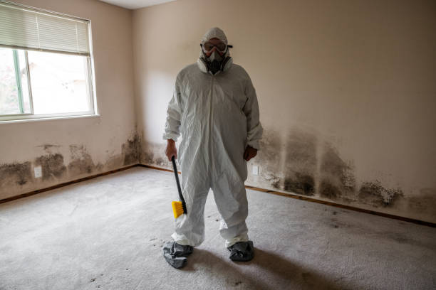 Best Mold Remediation for Schools in Mountain House, CA