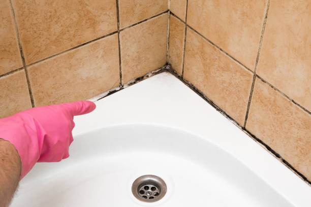 Best Mold Testing and Inspection Services in Mountain House, CA